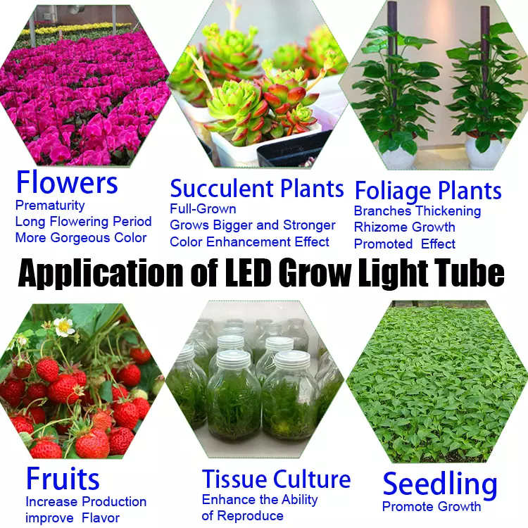 LINKABLE Full Spectrum LED Grow Light 4ft 36w