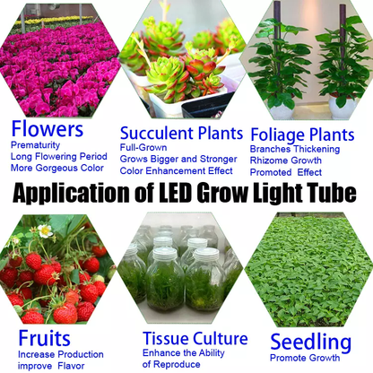 LINKABLE Full Spectrum LED Grow Light 4ft 36w